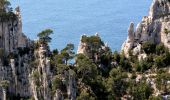 Randonnée Marche Cassis - Les 3 Calanques coté Est - Port Miou - En Vau - Port Pin (2eme version) - Photo 17