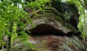 Trail Horseback riding Still - 2021-05-24 Picnic Elmersforst depuis Oberhaslach - Photo 2