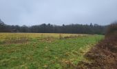 Tour Wandern Gerpinnes - Fromiee 110225 - Photo 7