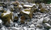 Tocht Stappen Chamonix-Mont-Blanc - Chamonix, cascade du dard,  glacier des boissons - Photo 5