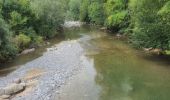 Tour Wandern Cusy - 14-08-2022 Pont de Cusy - Pont de l'abîme  - Photo 7