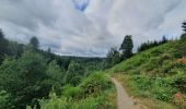 Trail Walking Houffalize - rando wibrin 29/07/2021 - Photo 10