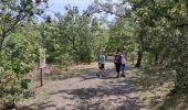 Trail Walking Courry - ARDECHE/GARD COURY Grotte de la cocaliere sentier de decouvertegrotte de la cocaliere - Photo 6