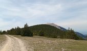 Tour Wandern Aurel - Le Pas de la Frache - Photo 16