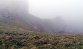 Excursión Senderismo Omblèze - Le tour du Roc de Toulau - Photo 17