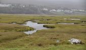 Tour Zu Fuß Westport-Belmullet Municipal District - Causeway Loop Walk - Photo 4