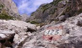 Trail On foot Auronzo di Cadore - IT-152 - Photo 6