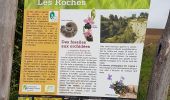 Randonnée Marche Génicourt-sur-Meuse - GENICOURT SUR MEUSE - Patrimoine et Botanique dans la vallée de la Meuse - Photo 6
