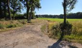 Percorso Marcia Fontaines-en-Sologne - Fontaines-en-Sologne - Les étangs - Photo 13
