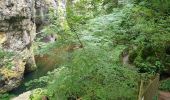 Randonnée Marche Thiézac - Les Gorges du Pas de Cère - Photo 17