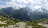 Tocht Stappen Vallorcine - Lac de la Rémuaz - Col des Montets - Photo 10