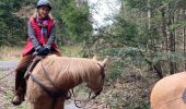 Trail Horseback riding Baccarat - Chez Alex mercredi 21 février 24 Mirador  - Photo 9