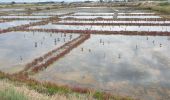 Tocht Stappen Batz-sur-Mer - batz sur mer - Photo 7