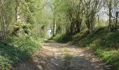 Tocht Stappen Tinlot - Ramelot - Strée  - Photo 2