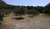 Tour Wandern Mérindol - Les gorges de regallon à partir de Merinol - Photo 2