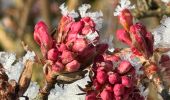 Randonnée Marche Habscht - Eischen - Photo 9