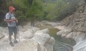 Trail Walking Saint-Gervais-sur-Mare - boucle COURS LES BANISSOUS - Photo 6