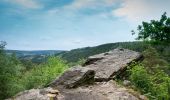 Tocht Stappen Malmedy - Les deux rochers  - Photo 8