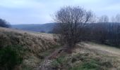 Tocht Stappen Chaudfontaine - autour de la Béole - Photo 6