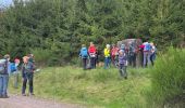 Percorso Marcia Lutzelhouse - MF Petit Wisches - Roche solaire  - Sculptures EH 15 km - Photo 1