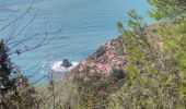 Randonnée Marche Riomaggiore - Riomaggiore to Porto Venere  - Photo 11