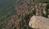 Excursión Senderismo Segart - Pico Garbi  - Photo 10