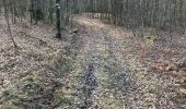 Percorso Equitazione Habay - Les 4 fils Aymon en minimisant la route et en sécurisant le départ pour les chevaux - Photo 3