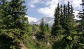 Tocht Stappen Pralognan-la-Vanoise - Pralognan - la crête du mont Charvet - Photo 20