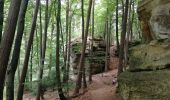 Trail Walking Waldbillig - Mullerthal randonnée magnifique - Photo 5