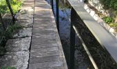 Trail  Mougins - Le long du canal de la Siagne (une partie) - Photo 10