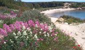 Tour Wandern Martigues - Sausset la Couronne - Photo 1