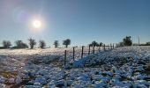 Trail Walking Sprimont - compagne de florzé dans la neige - Photo 8