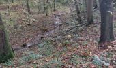 Tour Wandern Morlanwelz - Promenade ADEPS Mariemont - Photo 1