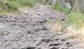 Tocht Stappen Jalhay - pont de belle heid la vallée de la hoegne - Photo 16