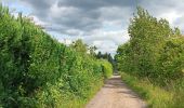 Trail Walking Theux - autour du Maquisart - Photo 9