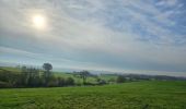 Tour Wandern Baelen - Boucle nord des Bornes sans Frontières - Photo 4