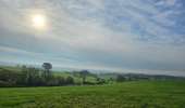 Trail Walking Baelen - Boucle nord des Bornes sans Frontières - Photo 4