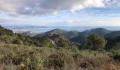 Tour Wandern Saint-Raphaël - Les Suvières et le Marsaou depuis Notre Dame - Photo 19