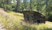 Tour Wandern Toblach - Silverstertal - Valle San Silvestro - Photo 5