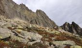 Randonnée A pied Göschenen - Voralphütte - Salbitbiwak - Photo 9