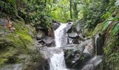 Tour Wandern Capesterre-Belle-Eau - cascades carmichaël - Photo 1