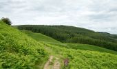 Tocht Te voet Eden - Aira Force and Gowbarrow Trail - Photo 7