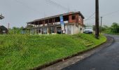 Tocht Stappen L'Ajoupa-Bouillon - Refuge Aileron - Gorges de La Falaise - Photo 16