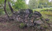 Tocht Stappen Ax-les-Thermes - chemin de petch - Photo 4