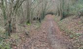 Randonnée Marche Torigny-les-Villes - Les Roches de Ham - Photo 11