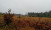 Trail Walking La Roche-en-Ardenne - le marais - Photo 9