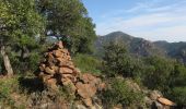 Excursión Senderismo Saint-Raphaël - Esterel : boucle pont du Grenouillet - col des Suvières  - Photo 4