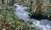 Trail Walking Limerzel - PR_56_Limerzel_AA_01_Vallee-Du-Trevelo_Circuit1b_20231215 - Photo 6