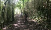 Tour Wandern Camps-sur-l'Agly - Pech de Bugarach (départ de la Bastide - Camps-sur-l'Agly) - Photo 14