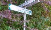 Tocht Stappen Illhaeusern - Illhausern Le sentier des Ried, voie romaine  - Photo 6